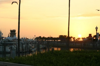 Grand Prix St-Petersburg (IndyCar et séries soutien)