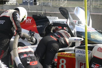 Sebring 2019 - 12 Heures et WEC