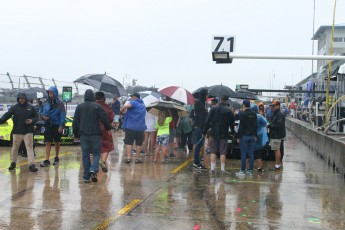 Sebring 2019 - 12 Heures et WEC - Samedi