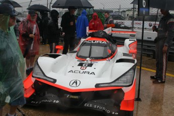 Sebring 2019 - 12 Heures et WEC - Samedi