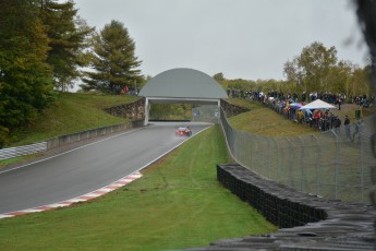 Mont-Tremblant - Classique d'automne - Coupe Porsche GT3