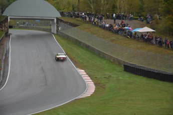 Mont-Tremblant - Classique d'automne - Coupe Porsche GT3