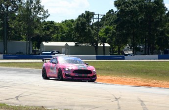 IMSA Michelin Pilot Challenge à Sebring