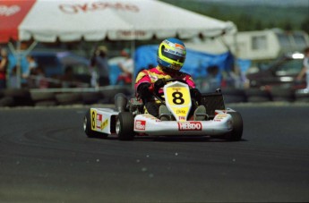 Retour dans le passé - Karting à Grand-Mère 1993