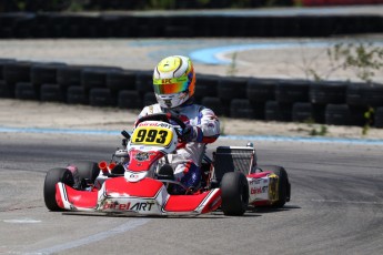 Karting - Coupe de Montréal #2 à ICAR