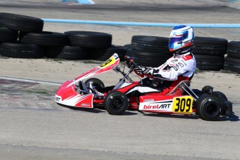 Karting - Coupe de Montréal #2 à ICAR