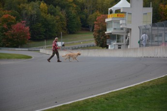 F1600, GT et autres - Classique d'automne au Mont-Tremblant
