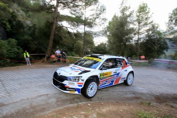 WRC Rallye de Catalogne (jour 2)