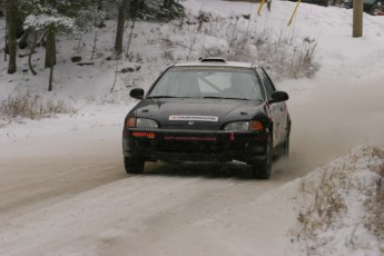 Retour dans le passé - Tall Pines 2005