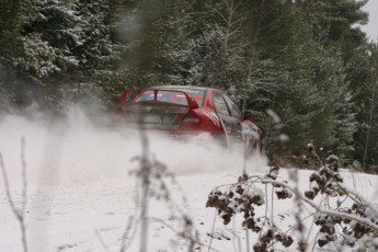 Retour dans le passé - Tall Pines 2005