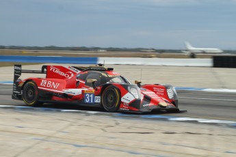 Sebring 2023 - Essais libres WEC