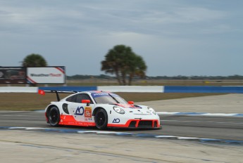 Sebring 2023 - Essais libres WEC