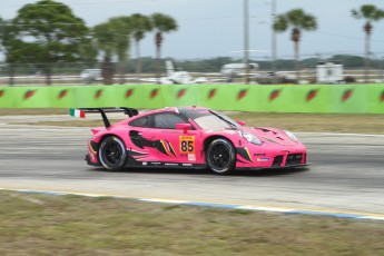 Sebring 2023 - Essais libres WEC