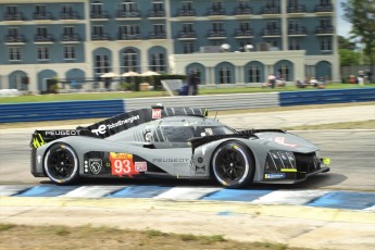Sebring 2023 - Essais libres WEC