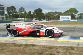 Sebring 2023 - Essais libres WEC