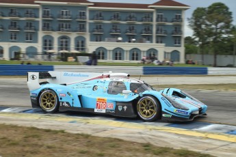 Sebring 2023 - Essais libres WEC