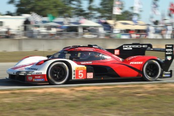Sebring 2023 - Essais libres WEC