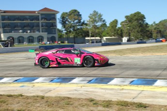 Sebring 2023 - Essais IMSA et WEC 