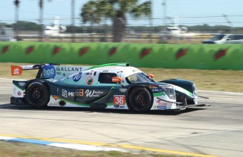Sebring 2023 - Essais IMSA et WEC 