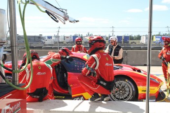 Sebring 2023 - Essais IMSA et WEC  - FIA WEC (jeudi)