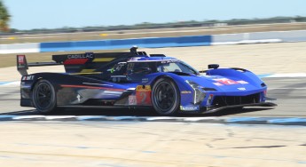 Sebring 2023 - Essais IMSA et WEC  - FIA WEC (jeudi)