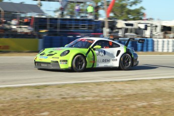 Sebring 2023 - Courses Coupe Porsche et Michelin Pilot Challenge