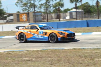 Sebring 2023 - Courses Coupe Porsche et Michelin Pilot Challenge