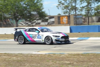 Sebring 2023 - Courses Coupe Porsche et Michelin Pilot Challenge