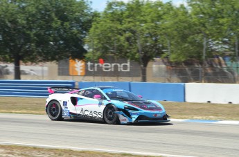 Sebring 2023 - Courses Coupe Porsche et Michelin Pilot Challenge