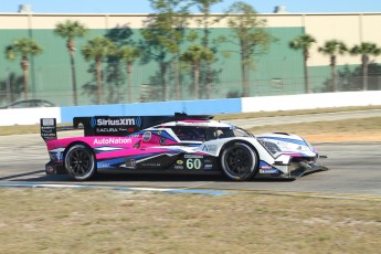 Sebring 2023 - 1000 milles WEC et qualifs IMSA