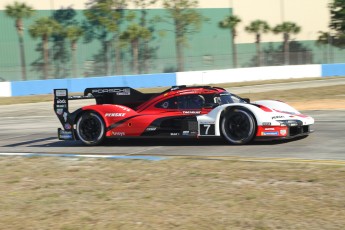 Sebring 2023 - 1000 milles WEC et qualifs IMSA