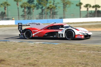 Sebring 2023 - 1000 milles WEC et qualifs IMSA