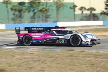Sebring 2023 - 1000 milles WEC et qualifs IMSA