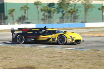 Sebring 2023 - 1000 milles WEC et qualifs IMSA