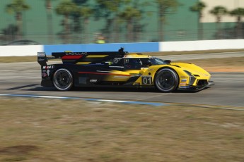 Sebring 2023 - 1000 milles WEC et qualifs IMSA