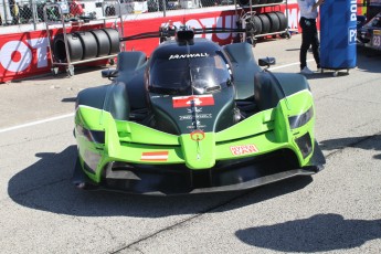 Sebring 2023 - 1000 milles WEC et qualifs IMSA