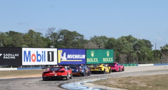 Sebring 2023 - 1000 milles WEC et qualifs IMSA