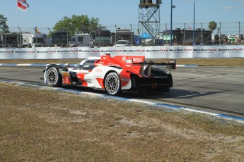 Sebring 2023 - 1000 milles WEC et qualifs IMSA