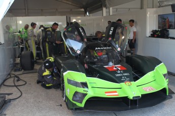 Sebring 2023 - 1000 milles WEC et qualifs IMSA