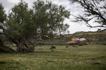 Rallye de Sardaigne WRC (étape 2)