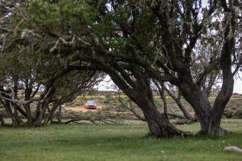 Rallye de Sardaigne WRC (étape 2)