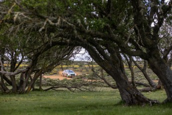 Rallye de Sardaigne WRC (étape 2)