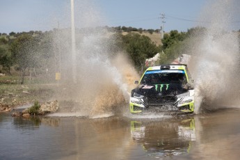 Rallye de Sardaigne WRC (étape 3)