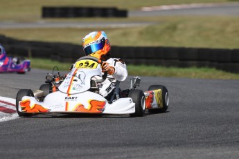 Karting à Tremblant - Championnat Ron Fellows