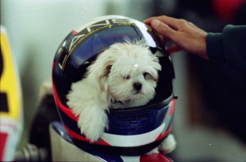 Retour dans le passé - Karting à Pointe-du-Lac - Printemps 1996