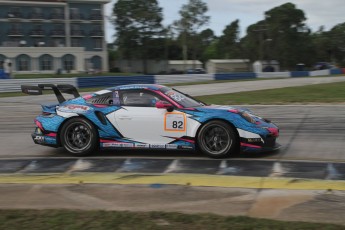 12 Heures de Sebring 2024 - Courses de soutien - Porsche Carrera Cup