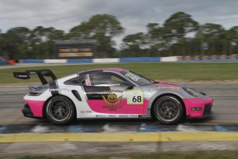 12 Heures de Sebring 2024 - Courses de soutien - Porsche Carrera Cup