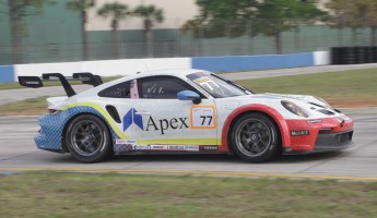 12 Heures de Sebring 2024 - Courses de soutien - Porsche Carrera Cup