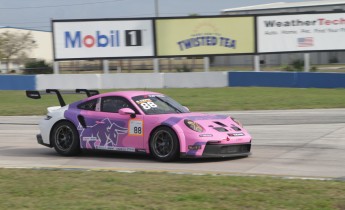 12 Heures de Sebring 2024 - Courses de soutien - Porsche Carrera Cup