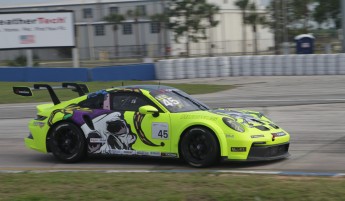 12 Heures de Sebring 2024 - Courses de soutien - Porsche Carrera Cup